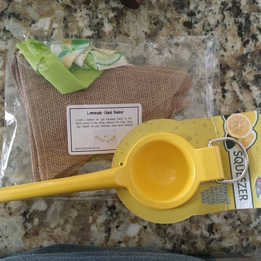 Lemonade Stand Banner and citrus juicer